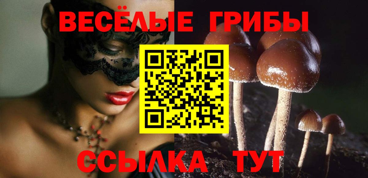 Галлюциногенные грибы мухоморы Всеволожск